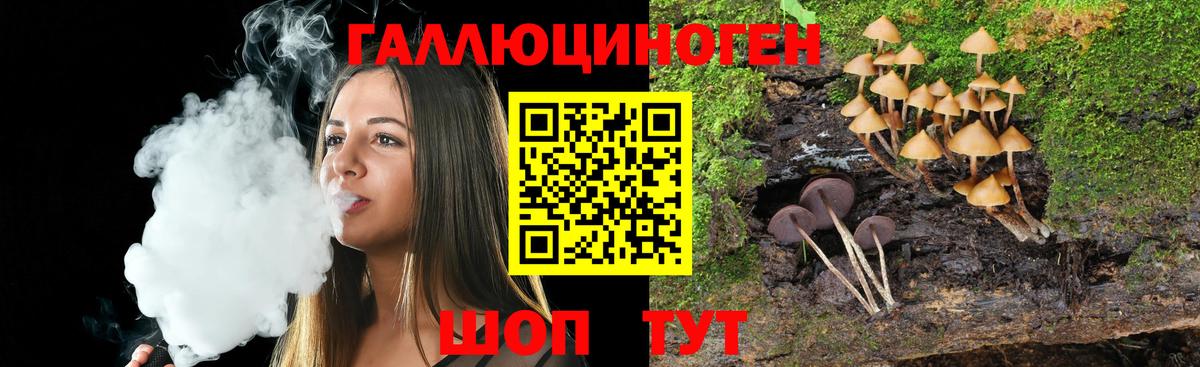 Галлюциногенные грибы Psilocybine cubensis  Галлюциногенные грибы прущие грибы  Вход с VPN  Артёмовский 